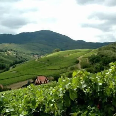 Отель Restaurant Des Vosges