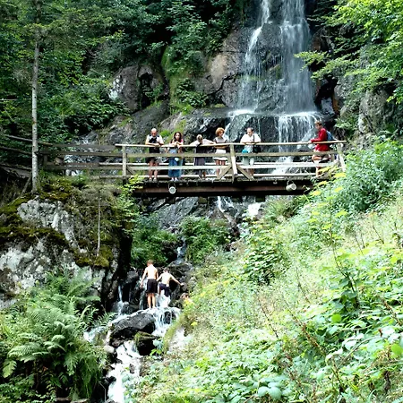 Hotel Restaurant Des Vosges