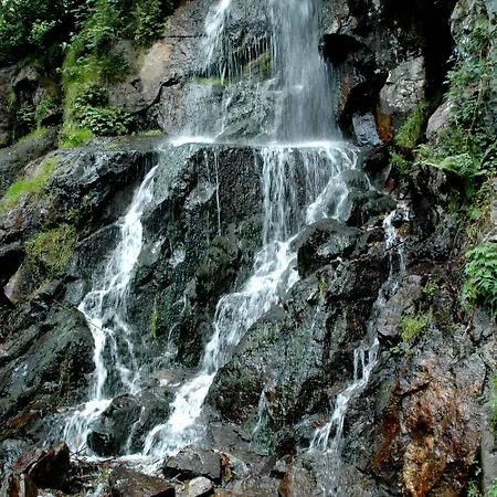 Restaurant Des Vosges Klingenthal